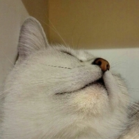 热血江湖新开区